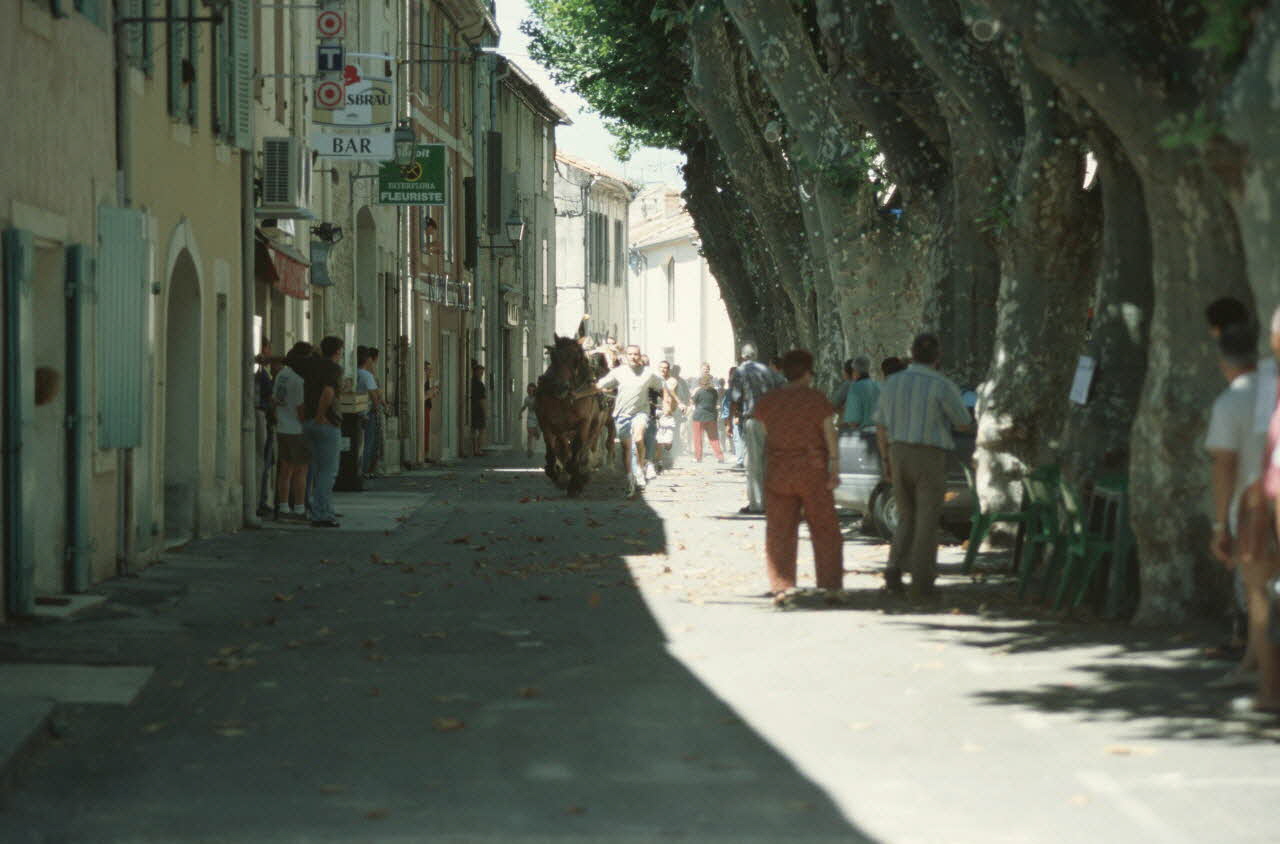 Hervé Jézéquel photographie MNATP. Enquête conduite par Marie-France Gueusquin en Provence (1992-2000) Provence-Alpes-Côte d'Azur, France 2000/7/1 Ph.2000.39.32 Photo