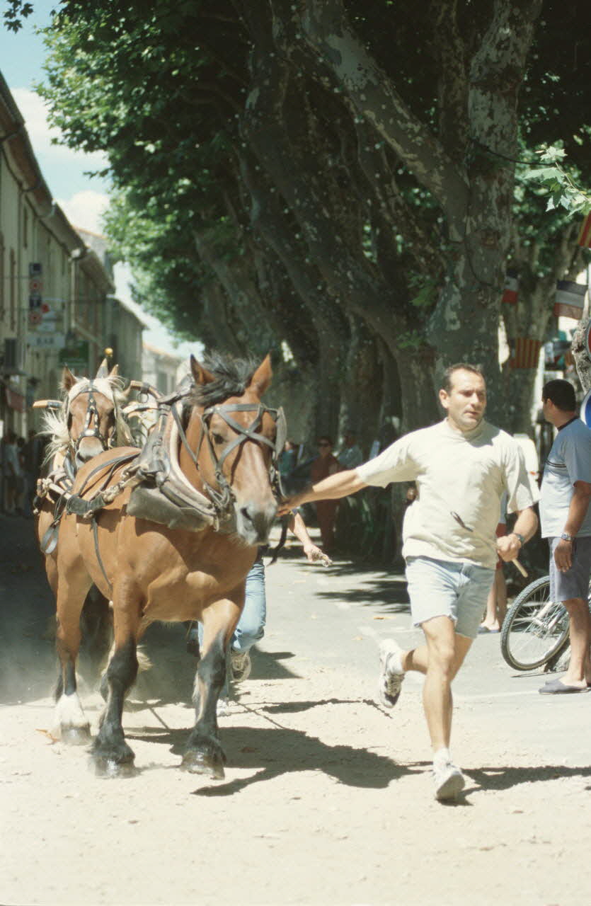 Hervé Jézéquel photographie MNATP. Enquête conduite par Marie-France Gueusquin en Provence (1992-2000) Provence-Alpes-Côte d'Azur, France 2000/7/1 Ph.2000.39.34 Photo
