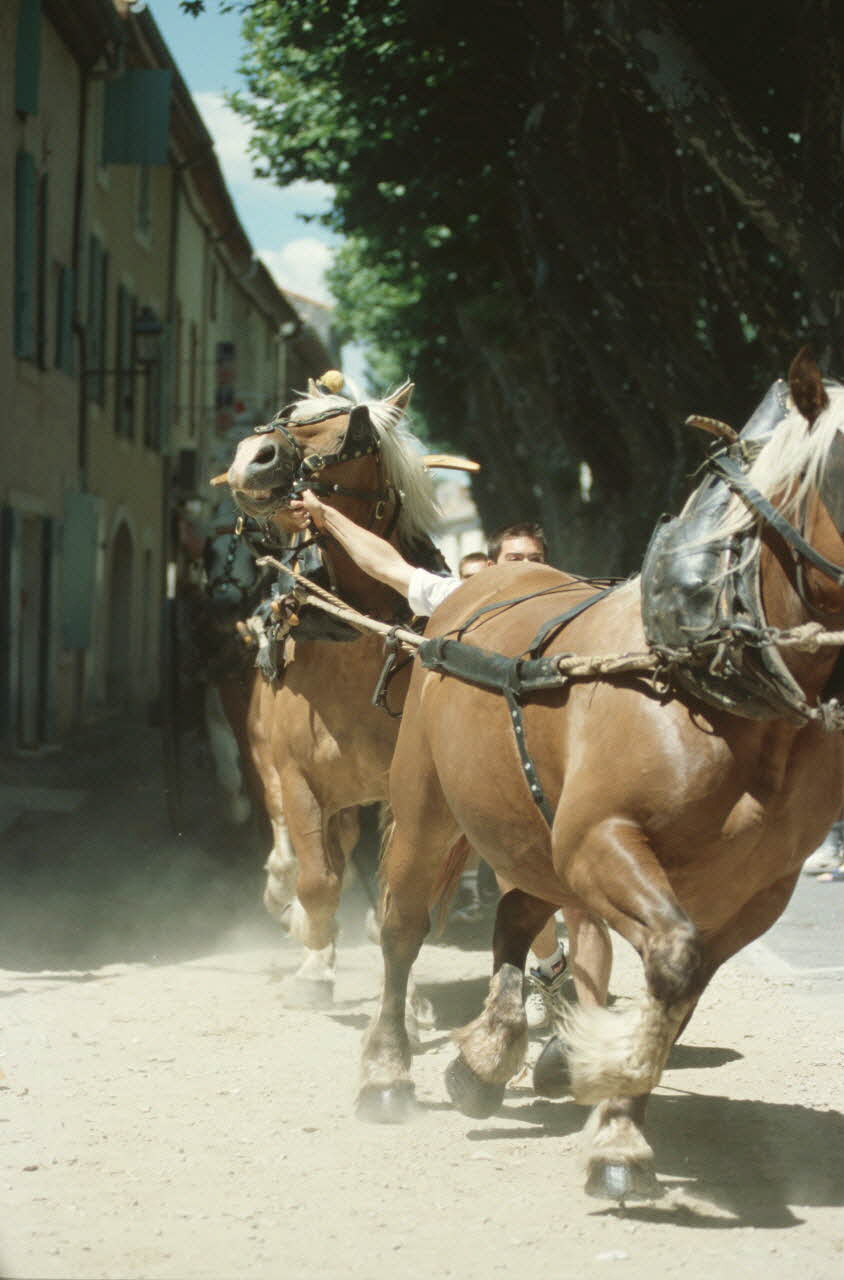 Hervé Jézéquel photographie MNATP. Enquête conduite par Marie-France Gueusquin en Provence (1992-2000) Provence-Alpes-Côte d'Azur, France 2000/7/1 Ph.2000.39.36 Photo