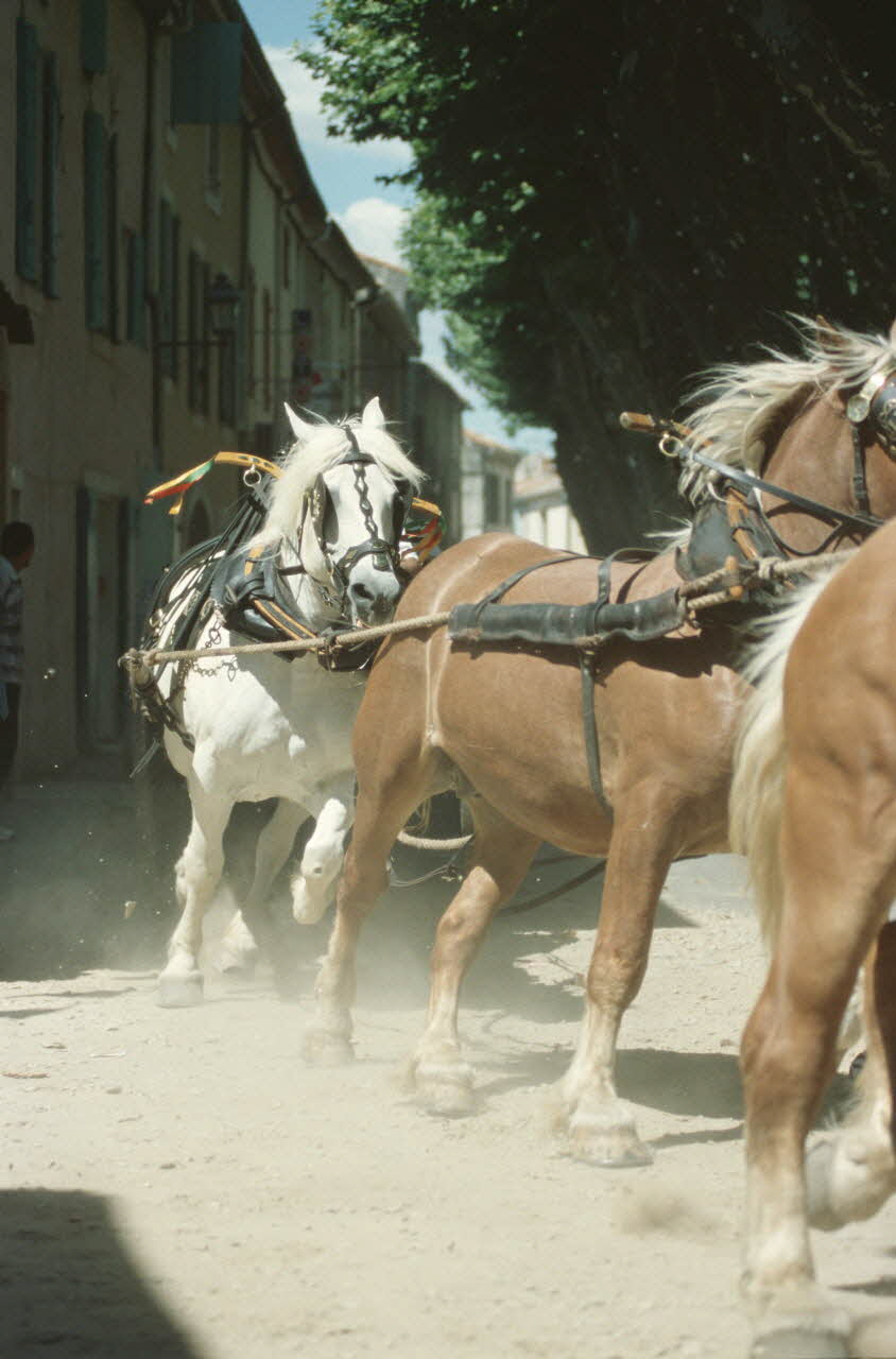 Hervé Jézéquel photographie MNATP. Enquête conduite par Marie-France Gueusquin en Provence (1992-2000) Provence-Alpes-Côte d'Azur, France 2000/7/1 Ph.2000.39.37 Photo