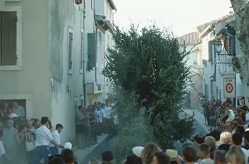 Hervé Jézéquel photographie MNATP. Enquête conduite par Marie-France Gueusquin en Provence (1992-2000) Provence-Alpes-Côte d'Azur, France 2000/7/1 Ph.2000.39.53 Photo