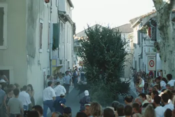 Hervé Jézéquel photographie MNATP. Enquête conduite par Marie-France Gueusquin en Provence (1992-2000) Provence-Alpes-Côte d'Azur, France 2000/7/1 Ph.2000.39.54 Photo