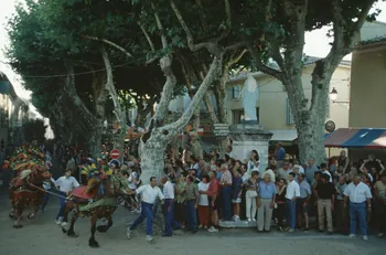 Hervé Jézéquel photographie MNATP. Enquête conduite par Marie-France Gueusquin en Provence (1992-2000) Provence-Alpes-Côte d'Azur, France 2000/7/1 Ph.2000.39.55 Photo