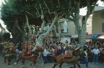 Hervé Jézéquel photographie MNATP. Enquête conduite par Marie-France Gueusquin en Provence (1992-2000) Provence-Alpes-Côte d'Azur, France 2000/7/1 Ph.2000.39.56 Photo