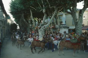 Hervé Jézéquel photographie MNATP. Enquête conduite par Marie-France Gueusquin en Provence (1992-2000) Provence-Alpes-Côte d'Azur, France 2000/7/1 Ph.2000.39.58 Photo