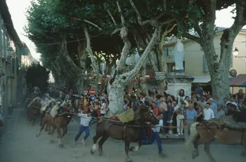 Hervé Jézéquel photographie MNATP. Enquête conduite par Marie-France Gueusquin en Provence (1992-2000) Provence-Alpes-Côte d'Azur, France 2000/7/1 Ph.2000.39.59 Photo