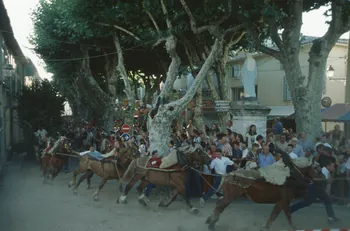 Hervé Jézéquel photographie MNATP. Enquête conduite par Marie-France Gueusquin en Provence (1992-2000) Provence-Alpes-Côte d'Azur, France 2000/7/1 Ph.2000.39.60 Photo