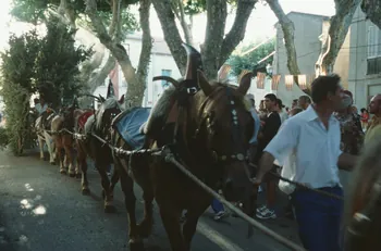 Hervé Jézéquel photographie MNATP. Enquête conduite par Marie-France Gueusquin en Provence (1992-2000) Provence-Alpes-Côte d'Azur, France 2000/7/1 Ph.2000.39.69 Photo