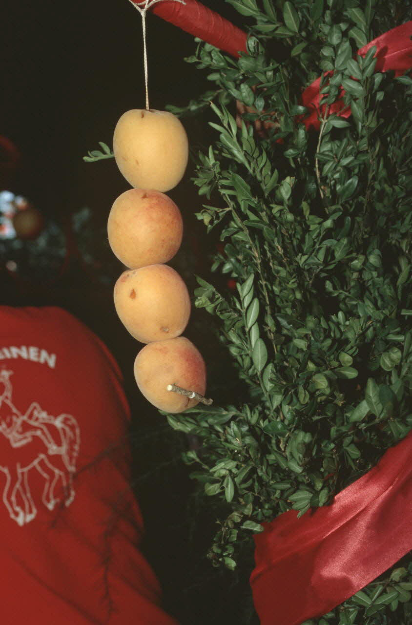 Hervé Jézéquel photographie MNATP. Enquête conduite par Marie-France Gueusquin en Provence (1992-2000) Provence-Alpes-Côte d'Azur, France 2000/8/1 Ph.2000.40.10 Photo