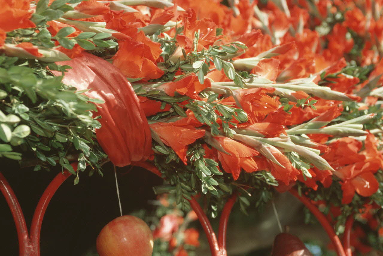 Hervé Jézéquel photographie MNATP. Enquête conduite par Marie-France Gueusquin en Provence (1992-2000) Provence-Alpes-Côte d'Azur, France 2000/8/1 Ph.2000.40.20  Photo