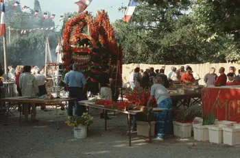 Hervé Jézéquel photographie MNATP. Enquête conduite par Marie-France Gueusquin en Provence (1992-2000) Provence-Alpes-Côte d'Azur, France 2000/8/1 Ph.2000.40.32 Photo