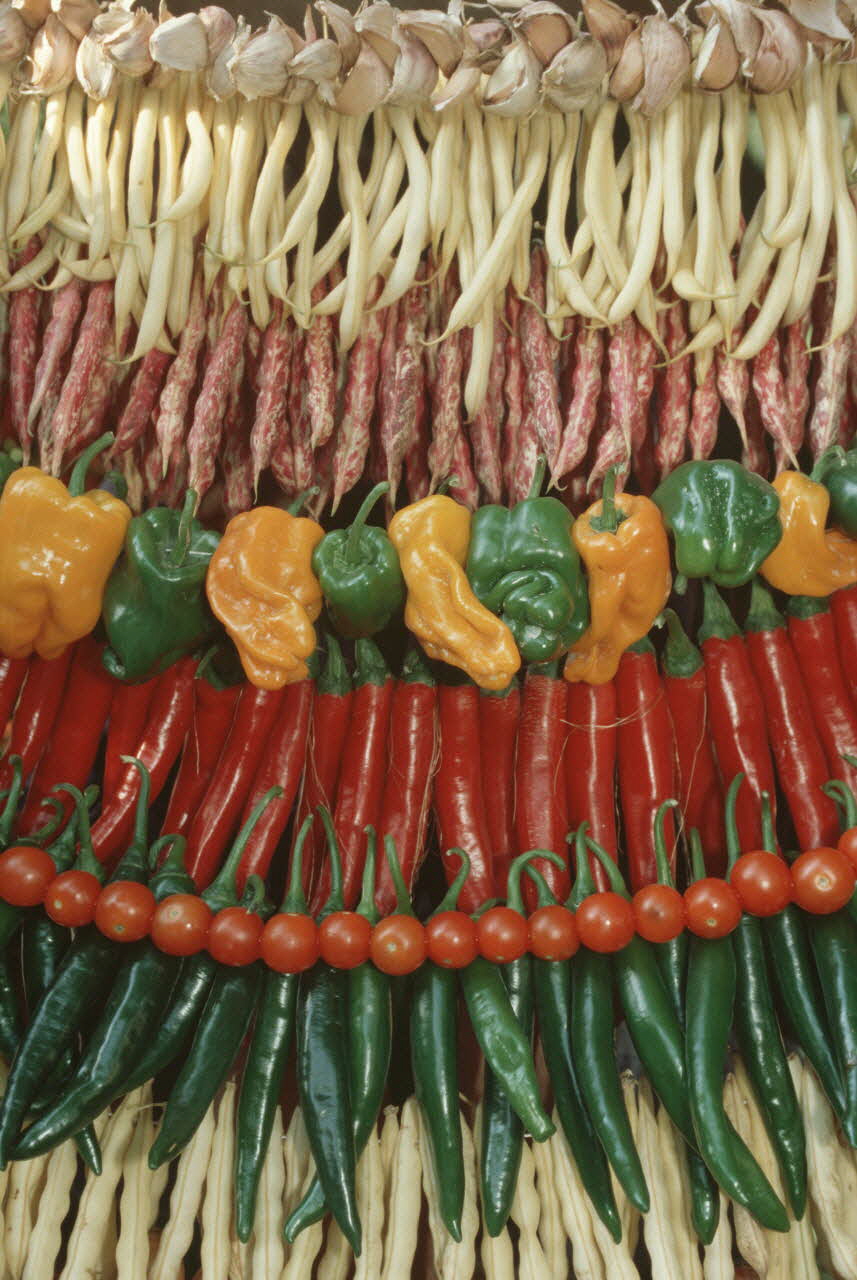 Hervé Jézéquel photographie MNATP. Enquête conduite par Marie-France Gueusquin en Provence (1992-2000) Provence-Alpes-Côte d'Azur, France 2000/8/1 Ph.2000.40.34 Photo