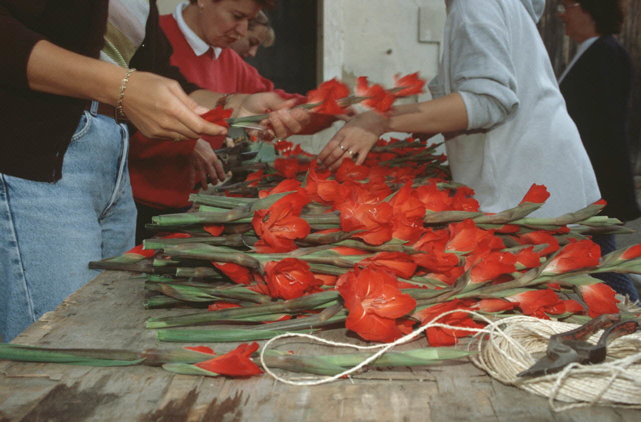 Hervé Jézéquel photographie MNATP. Enquête conduite par Marie-France Gueusquin en Provence (1992-2000) Provence-Alpes-Côte d'Azur, France 2000/8/1 Ph.2000.40.4 Photo