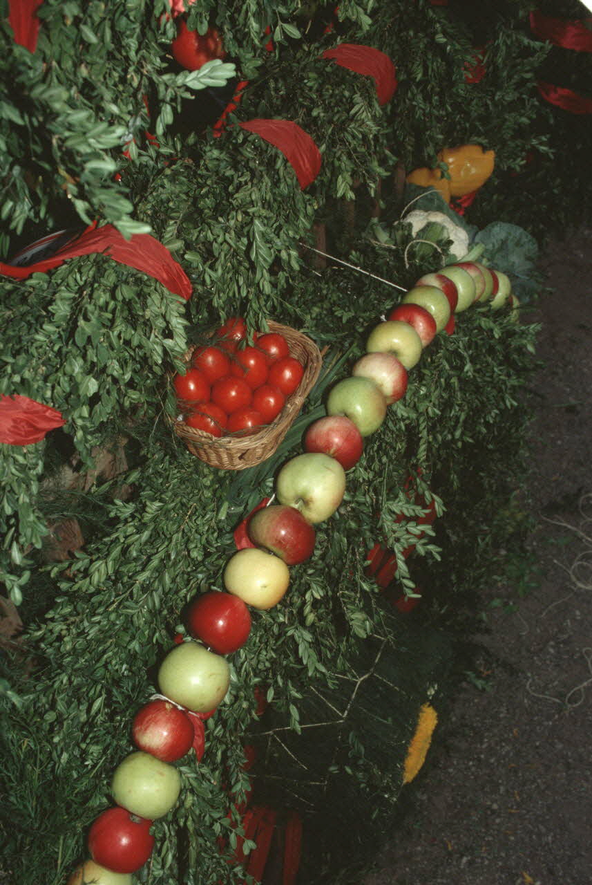 Hervé Jézéquel photographie MNATP. Enquête conduite par Marie-France Gueusquin en Provence (1992-2000) Provence-Alpes-Côte d'Azur, France 2000/8/1 Ph.2000.40.9 Photo