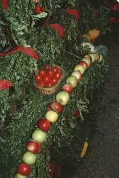 Hervé Jézéquel photographie MNATP. Enquête conduite par Marie-France Gueusquin en Provence (1992-2000) Provence-Alpes-Côte d'Azur, France 2000/8/1 Ph.2000.40.9 Photo