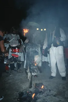 photographie Mission en Guadeloupe. Carnaval de Fort-de-France, en Martinique. 10 février 2002 Ph.2002.17.312  Photo