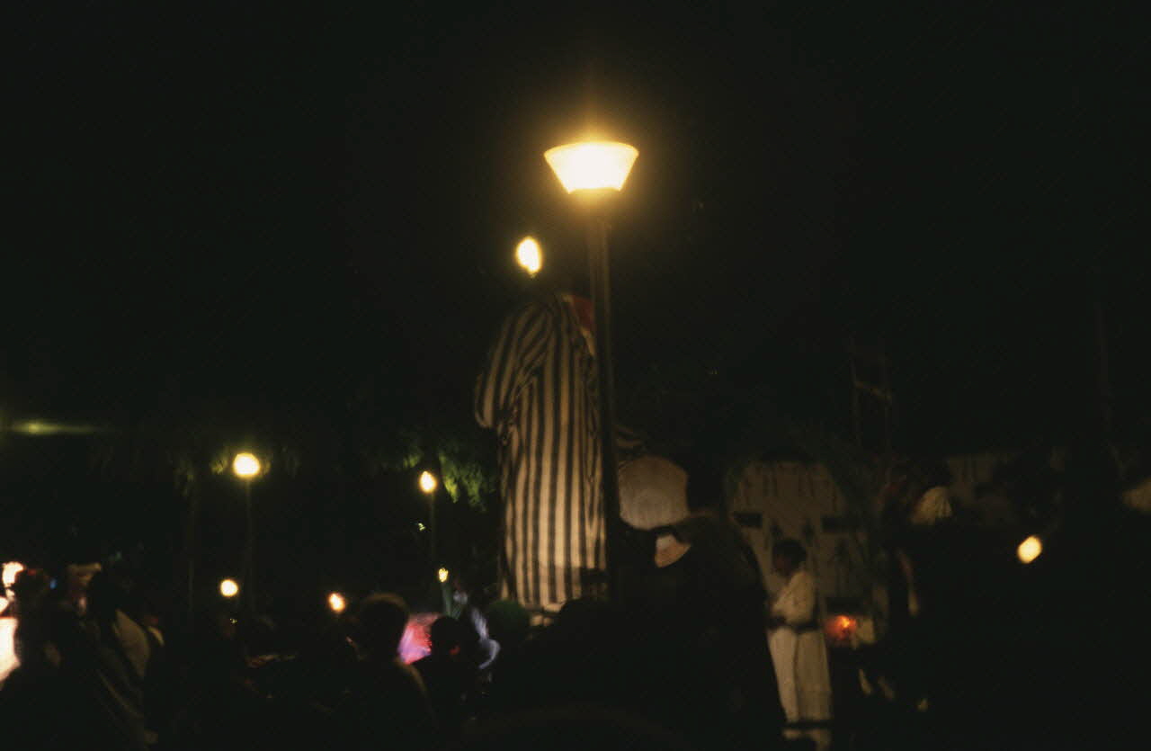 photographie Mission en Guadeloupe. Carnaval de Fort-de-France, en Martinique. 10 février 2002 Ph.2002.17.313  Photo