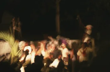 photographie Mission en Guadeloupe. Carnaval de Fort-de-France, en Martinique. 10 février 2002 Ph.2002.17.314  Photo