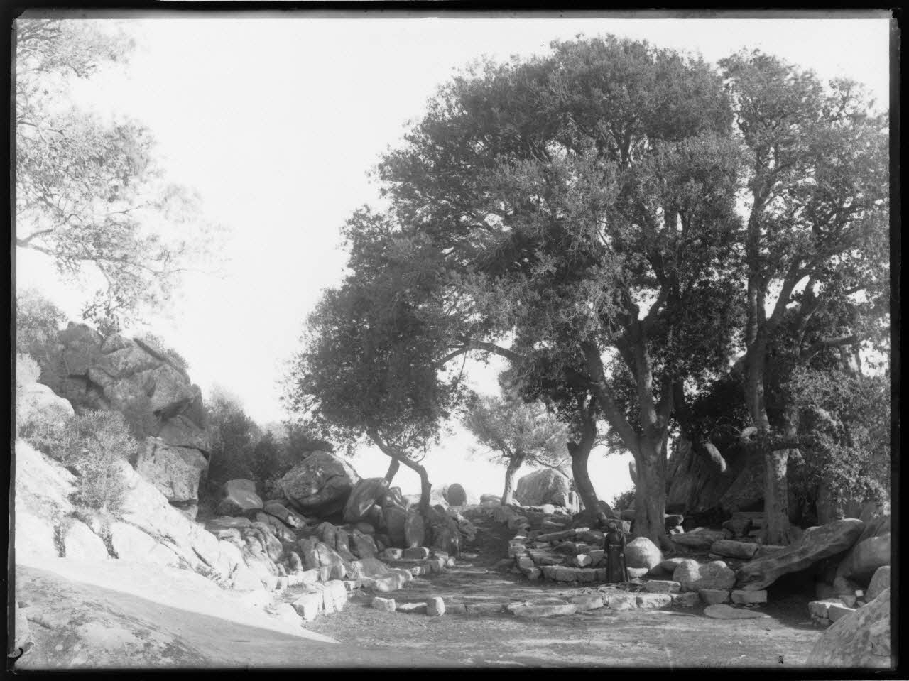 Philippon photographie Fonds Bonaparte ; Excursion en Corse de Roland Bonaparte (1887) Corse, France 1887 Ph.2006.00.1.187 Photo RMN-Grand Palais (Mucem)