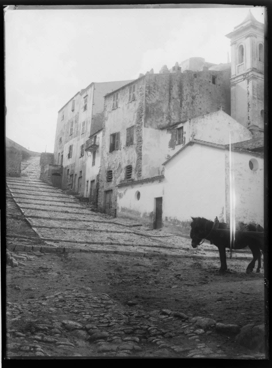 Philippon photographie Fonds Bonaparte ; Excursion en Corse de Roland Bonaparte (1887) Corse, France 1887 Ph.2006.00.1.191 Photo RMN-Grand Palais (Mucem)