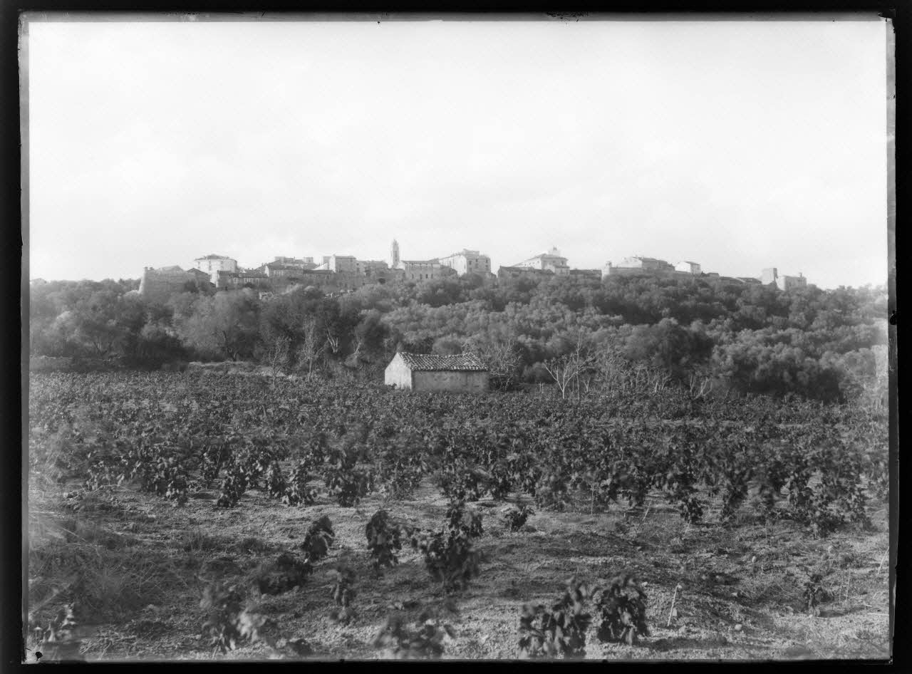 Philippon photographie Fonds Bonaparte ; Excursion en Corse de Roland Bonaparte (1887) Corse, France 1887 Ph.2006.00.1.197 Photo Mucem / Philippon