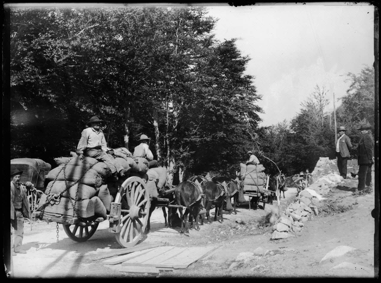 Philippon photographie Fonds Bonaparte ; Excursion en Corse de Roland Bonaparte (1887) Corse, France 1887 Ph.2006.00.1.27 Photo RMN-Grand Palais (Mucem)