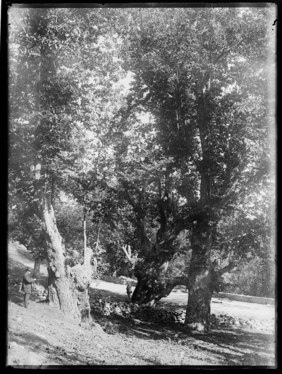 Philippon photographie Fonds Bonaparte ; Excursion en Corse de Roland Bonaparte (1887) Corse, France 1887 Ph.2006.00.1.32 Photo RMN-Grand Palais (Mucem)
