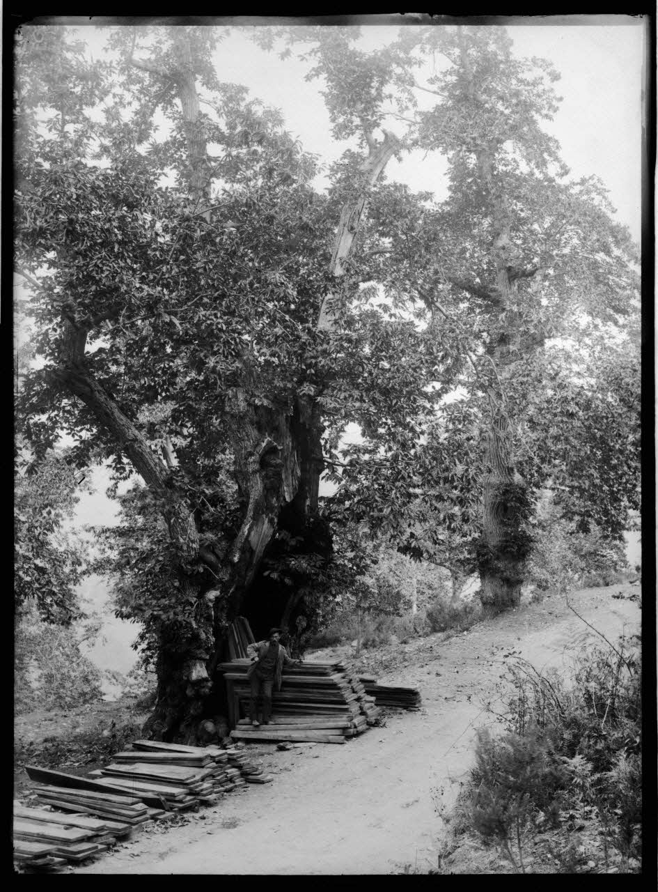 Philippon photographie Fonds Bonaparte ; Excursion en Corse de Roland Bonaparte (1887) Corse, France 1887 Ph.2006.00.1.67 Photo RMN-Grand Palais (Mucem)