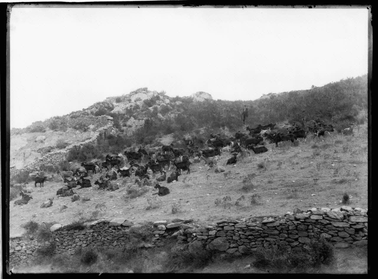 Philippon photographie Fonds Bonaparte ; Excursion en Corse de Roland Bonaparte (1887) Corse, France 1887 Ph.2006.00.1.86 Photo RMN-Grand Palais (Mucem)