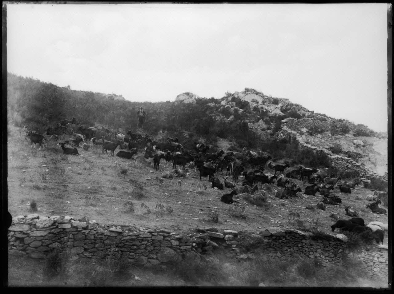 Philippon photographie Fonds Bonaparte ; Excursion en Corse de Roland Bonaparte (1887) Corse, France 1887 Ph.2006.00.1.87 Photo RMN-Grand Palais (Mucem)