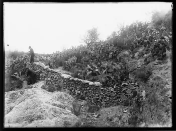 Philippon photographie Fonds Bonaparte ; Excursion en Corse de Roland Bonaparte (1887) Corse, France 1887 Ph.2006.00.1.88 Photo RMN-Grand Palais (Mucem)