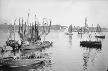 Jean Clair-Guyot photographie Beaune : fête du vin (1925) Bourgogne, France 1925/10/18 Ph.2006.00.9.7 Photo RMN-Grand Palais (Mucem)