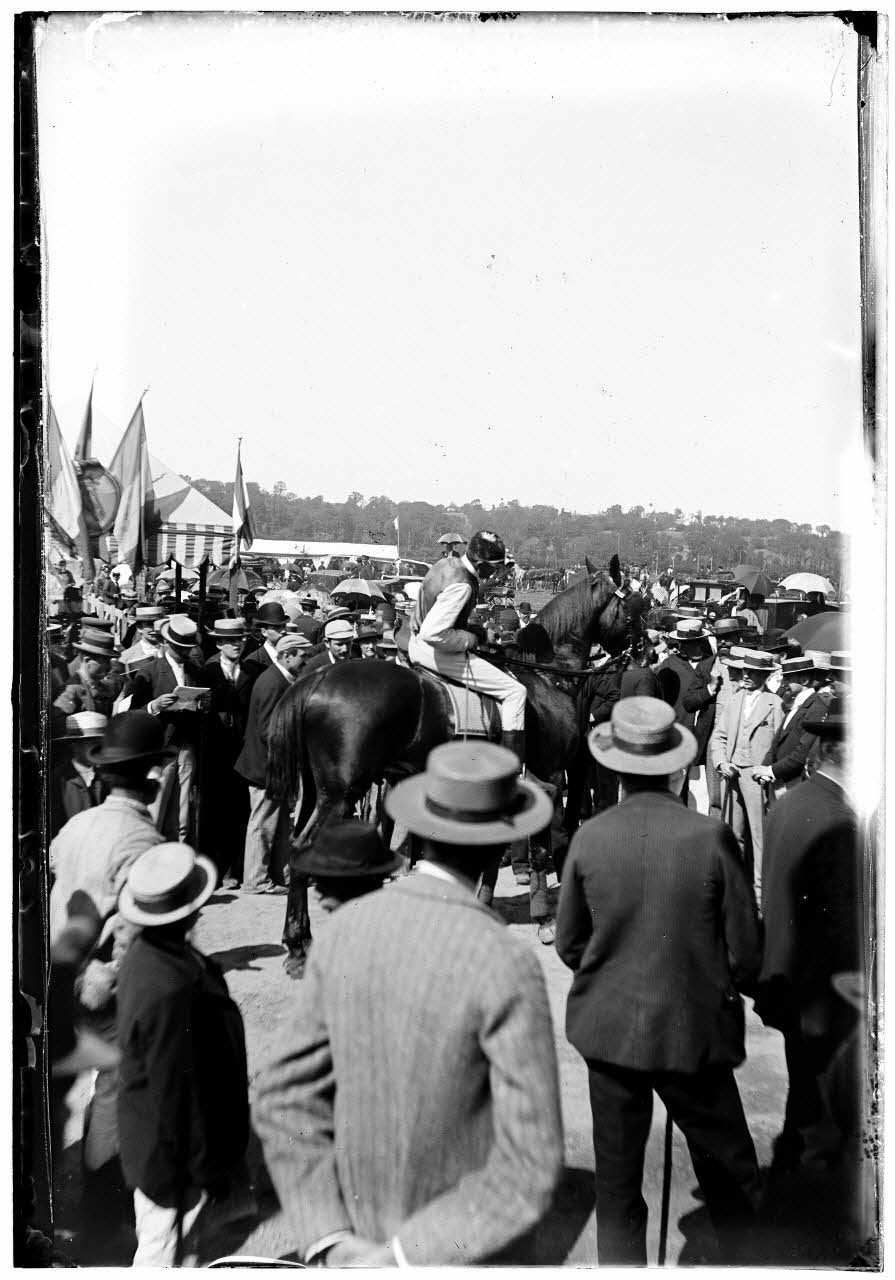 photographie Fonds Gauguet-Widmer Ph.2006.00.3.260 Photo RMN-Grand Palais (Mucem)