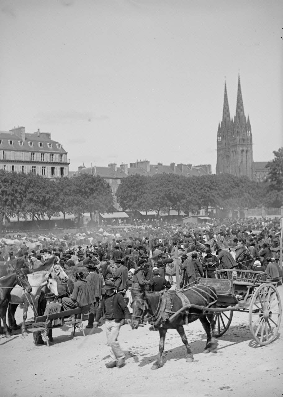 photographie Fonds Gauguet-Widmer Ph.2006.00.3.332 Photo RMN-Grand Palais (Mucem)