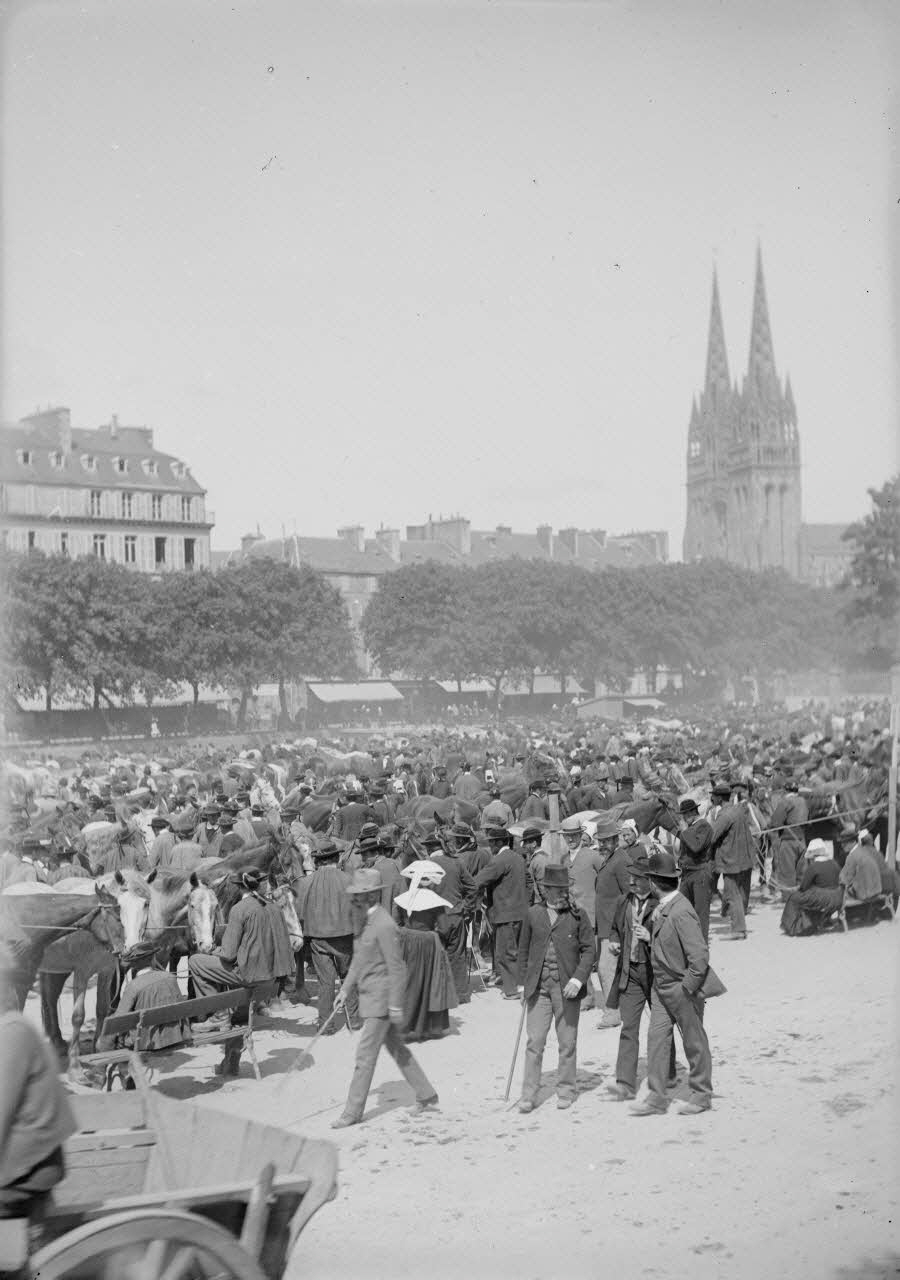 photographie Fonds Gauguet-Widmer Ph.2006.00.3.333 Photo RMN-Grand Palais (Mucem)