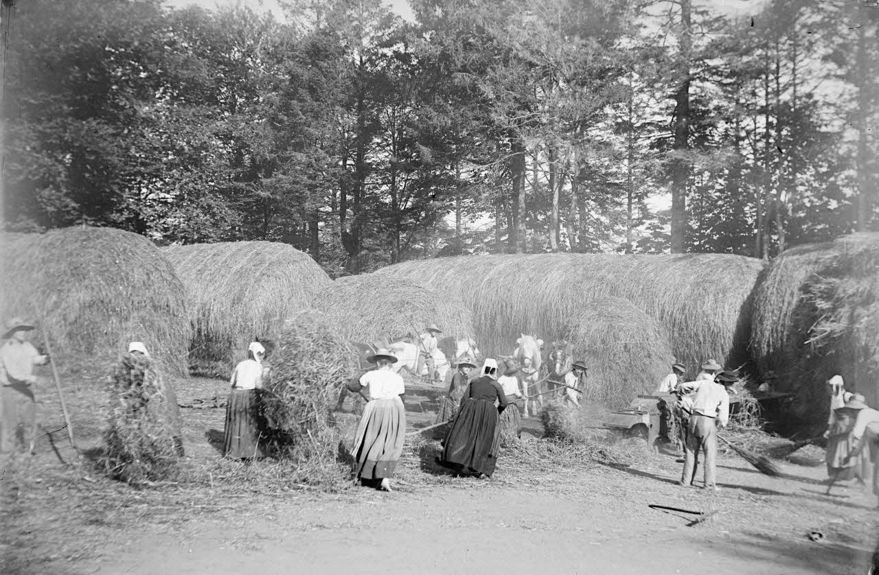 photographie Fonds Gauguet-Widmer Ph.2006.00.3.409 Photo RMN-Grand Palais (Mucem)