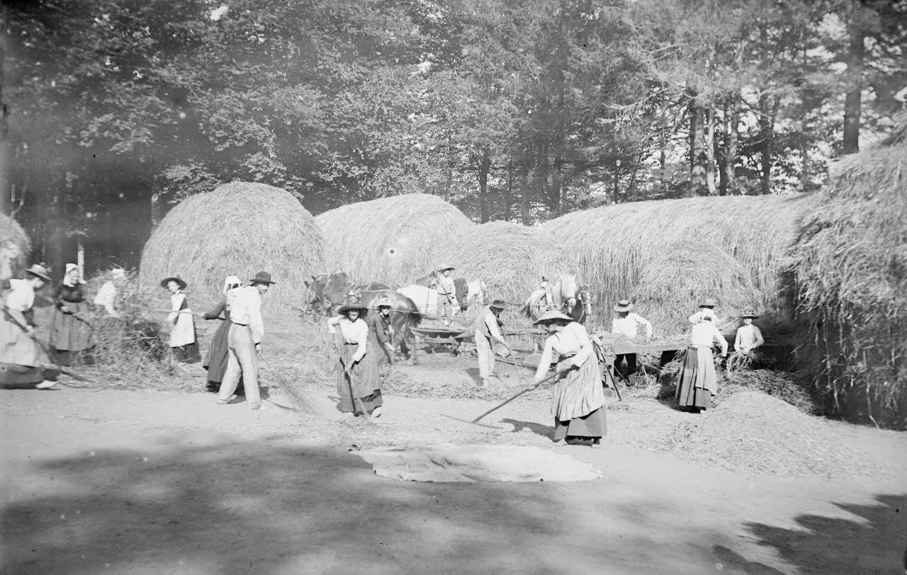 photographie Fonds Gauguet-Widmer Ph.2006.00.3.410 Photo RMN-Grand Palais (Mucem)