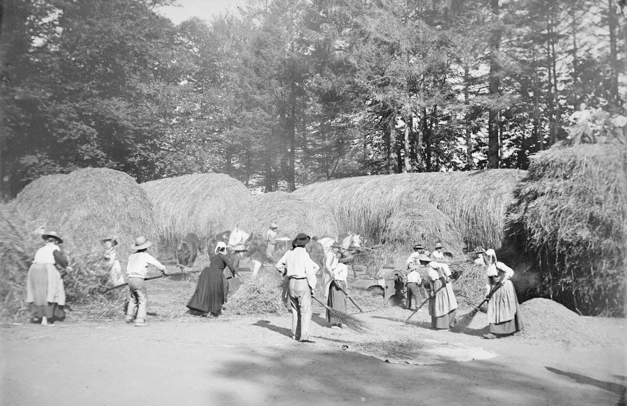 photographie Fonds Gauguet-Widmer Ph.2006.00.3.411 Photo RMN-Grand Palais (Mucem)