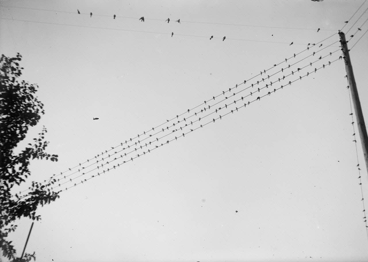 Eugène, Henri, Louis Duclos photographie Fonds Gauguet-Widmer Centre, France 1912/7/13 Ph.2006.00.3.512 Photo RMN-Grand Palais (Mucem) / Duclos, Eugène, Henri, Louis