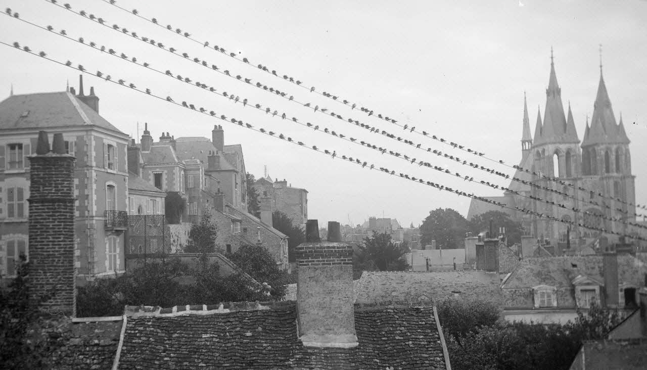 Eugène, Henri, Louis Duclos photographie Fonds Gauguet-Widmer Centre, France 1912/7/13 Ph.2006.00.3.513 Photo RMN-Grand Palais (Mucem) / Duclos, Eugène, Henri, Louis