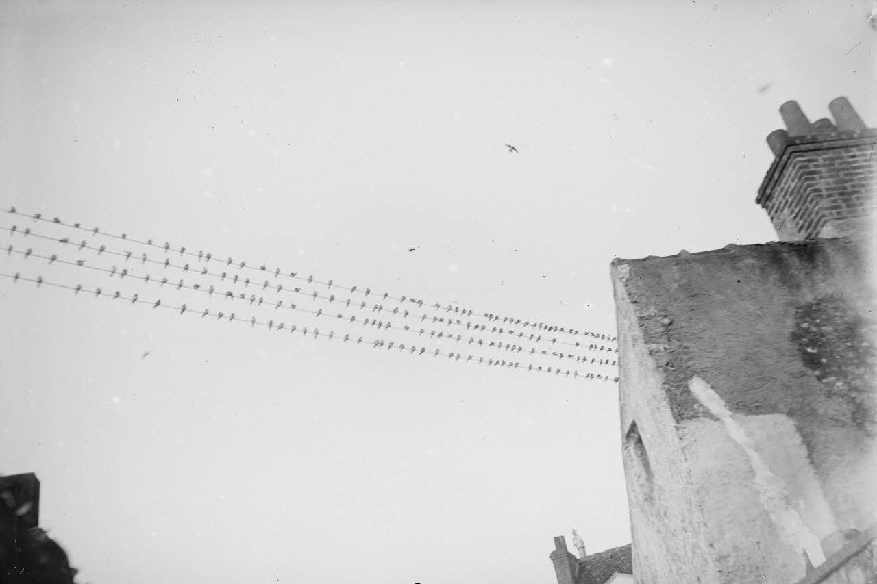 Eugène, Henri, Louis Duclos photographie Fonds Gauguet-Widmer Centre, France 1912/7/13 Ph.2006.00.3.516 Photo RMN-Grand Palais (Mucem) / Duclos, Eugène, Henri, Louis