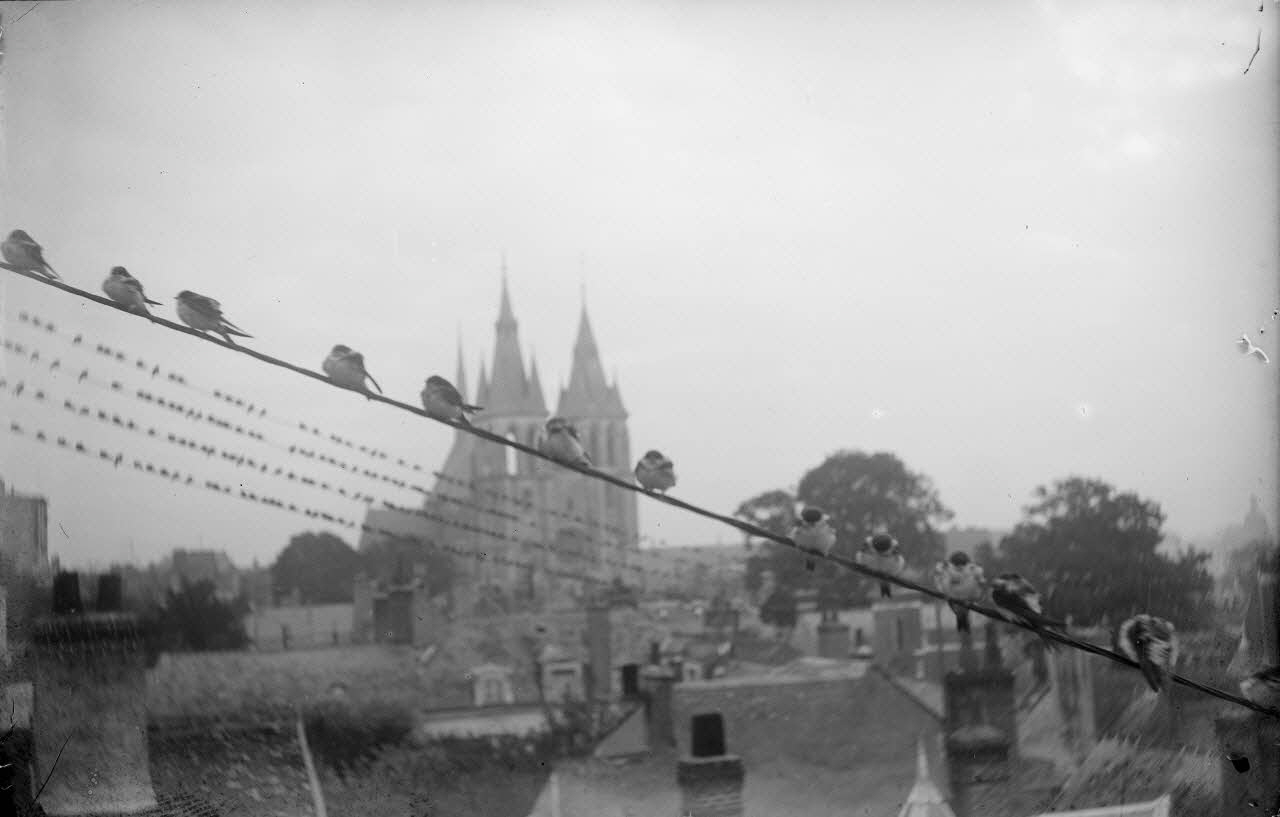 Eugène, Henri, Louis Duclos photographie Fonds Gauguet-Widmer Centre, France 1912/7/13 Ph.2006.00.3.517 Photo RMN-Grand Palais (Mucem) / Duclos, Eugène, Henri, Louis