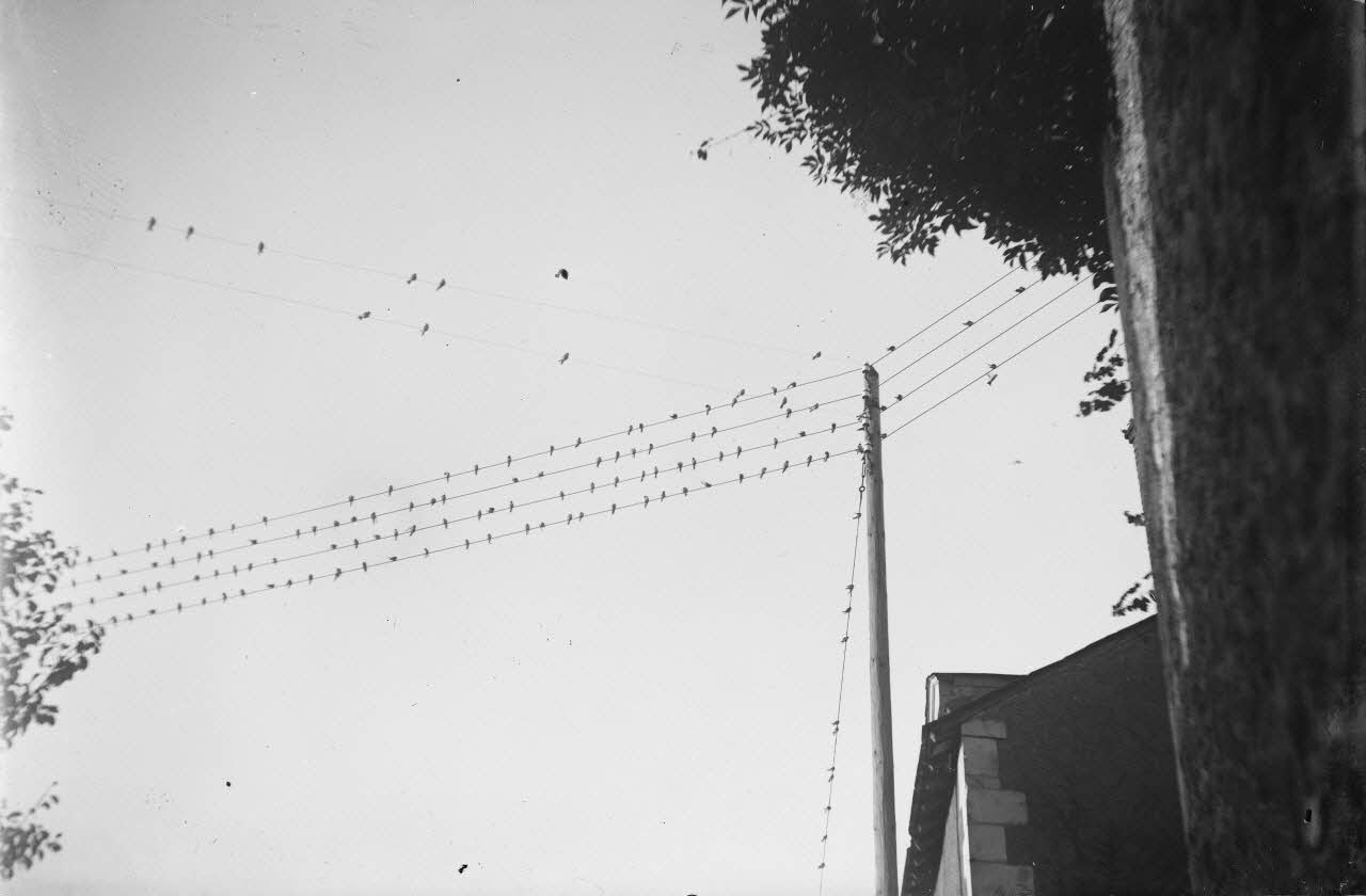Eugène, Henri, Louis Duclos photographie Fonds Gauguet-Widmer Centre, France 1912/7/13 Ph.2006.00.3.518 Photo RMN-Grand Palais (Mucem) / Duclos, Eugène, Henri, Louis