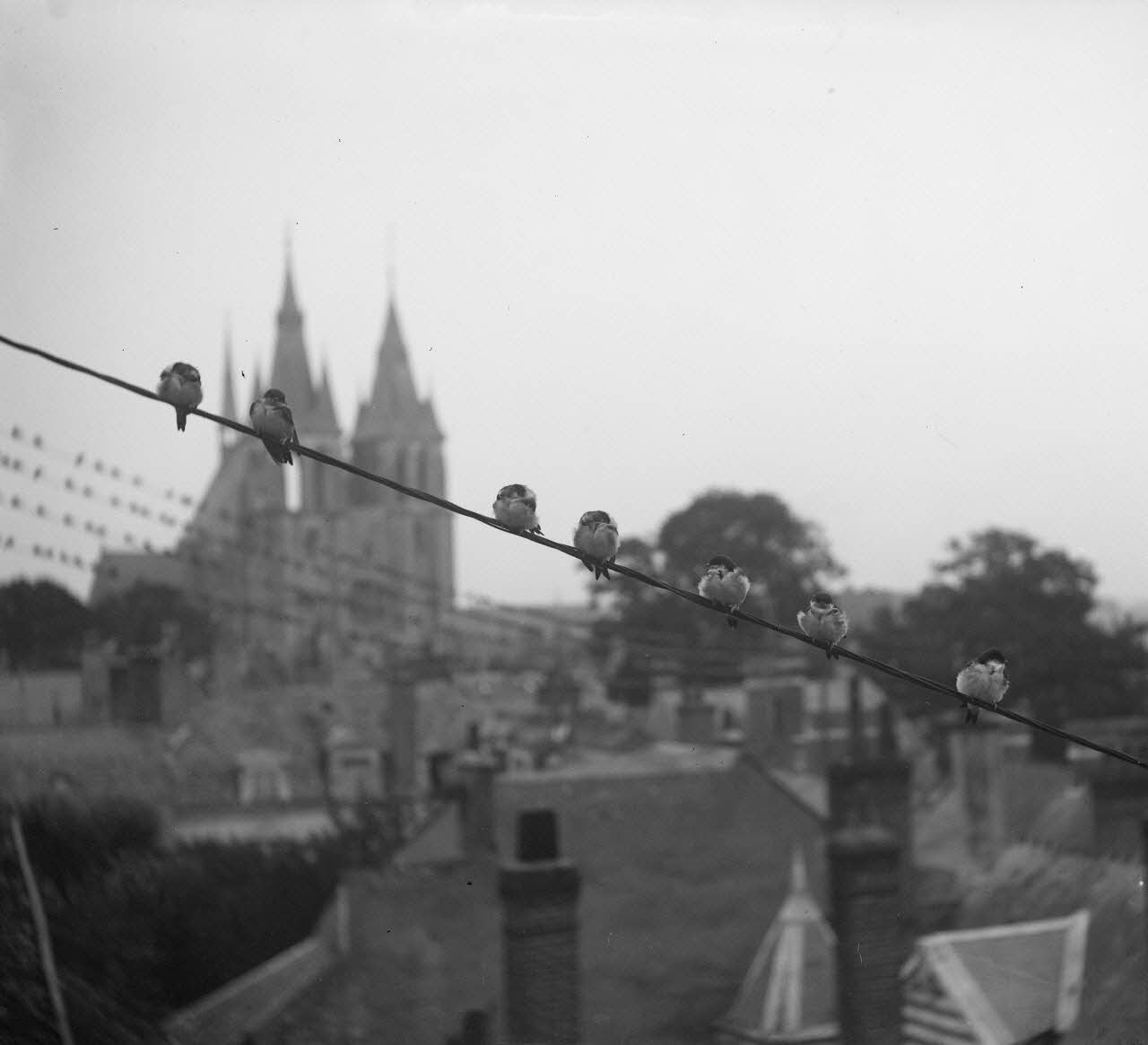 Eugène, Henri, Louis Duclos photographie Fonds Gauguet-Widmer Centre, France 1912/7/13 Ph.2006.00.3.519 Photo RMN-Grand Palais (Mucem) / Duclos, Eugène, Henri, Louis