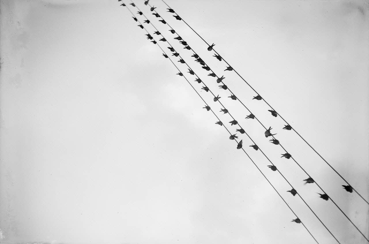 Eugène, Henri, Louis Duclos photographie Fonds Gauguet-Widmer Centre, France 1912/7/13 Ph.2006.00.3.520 Photo RMN-Grand Palais (Mucem) / Duclos, Eugène, Henri, Louis