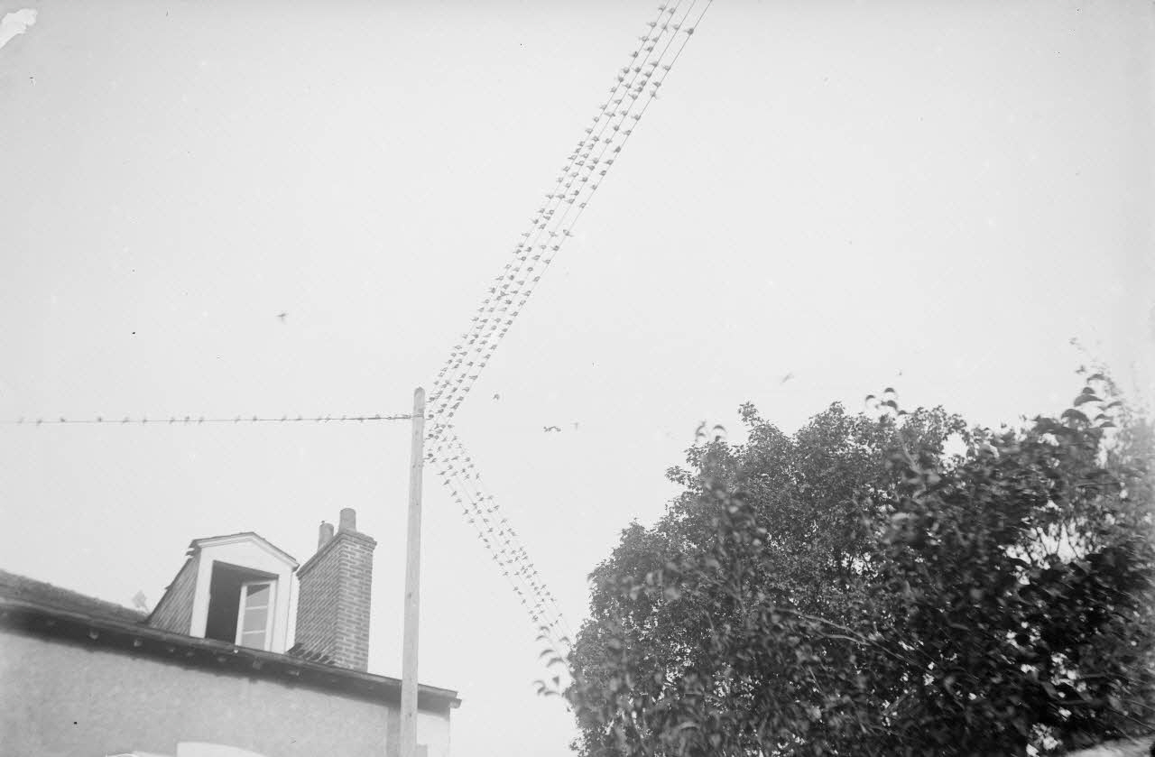 Eugène, Henri, Louis Duclos photographie Fonds Gauguet-Widmer Centre, France 1912/7/13 Ph.2006.00.3.521 Photo RMN-Grand Palais (Mucem) / Duclos, Eugène, Henri, Louis