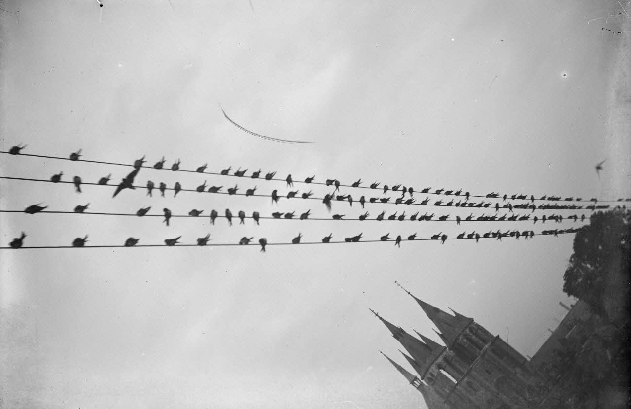 Eugène, Henri, Louis Duclos photographie Fonds Gauguet-Widmer Centre, France 1912/7/13 Ph.2006.00.3.522 Photo RMN-Grand Palais (Mucem) / Duclos, Eugène, Henri, Louis
