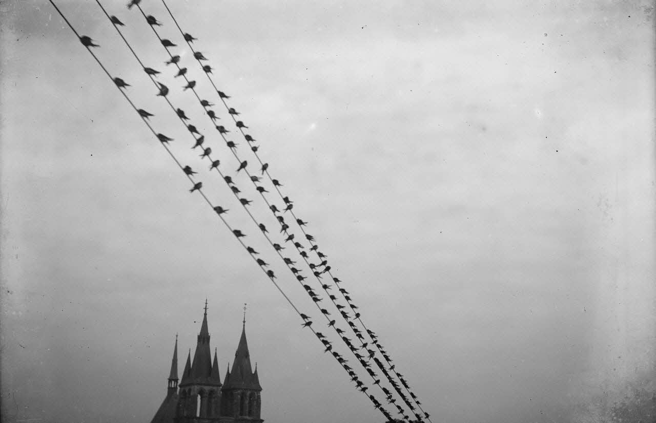 Eugène, Henri, Louis Duclos photographie Fonds Gauguet-Widmer Centre, France 1912/7/13 Ph.2006.00.3.524 Photo RMN-Grand Palais (Mucem) / Duclos, Eugène, Henri, Louis