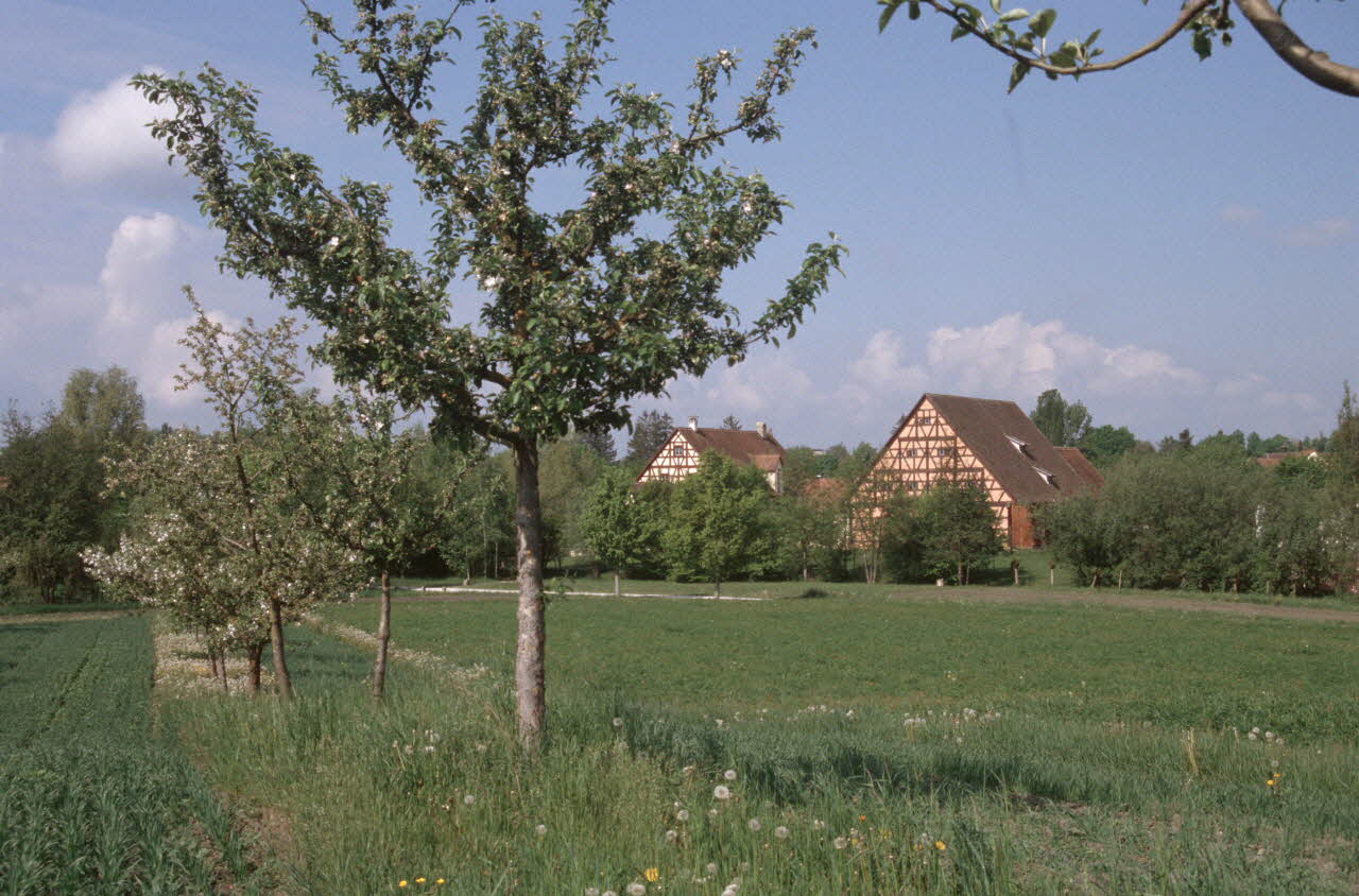 Jean Cuisenier photographie Exposition et enquête de Jean Cuisenier au Musée de Bad Windsheim en Allemagne (du 13 au 16 mai 2004) Bavière, Allemagne 2004/5/13 Ph.2007.13.1 Photo