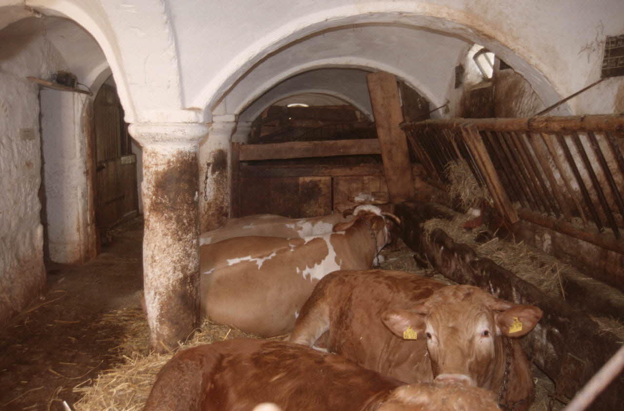 Jean Cuisenier photographie Exposition et enquête de Jean Cuisenier au Musée de Bad Windsheim en Allemagne (du 13 au 16 mai 2004) Bavière, Allemagne 2004/5/13 Ph.2007.13.7 Photo